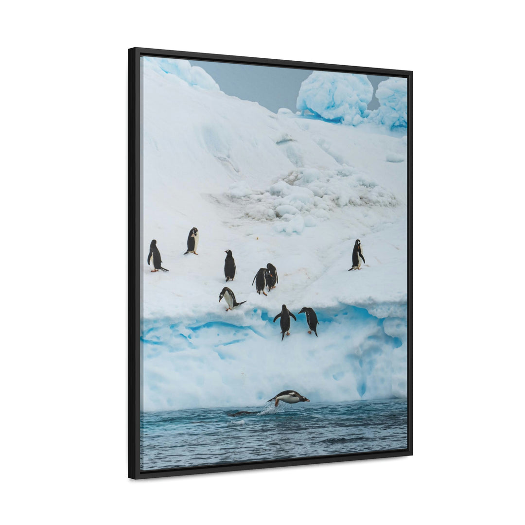 Porpoising Penguin - Canvas with Frame