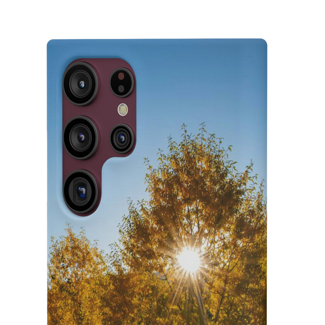 Sun Through the Aspens - Phone Case