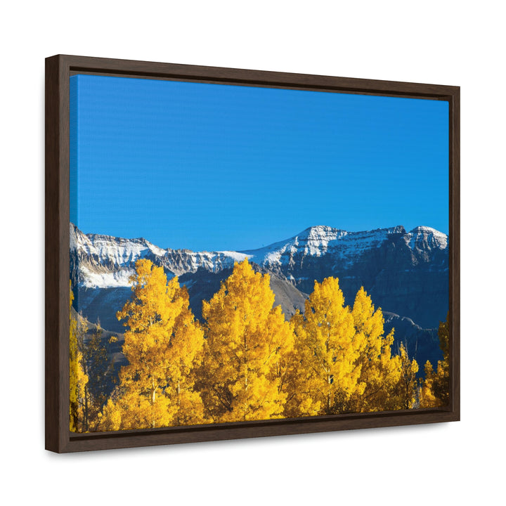 Golden Glow - Canvas with Frame