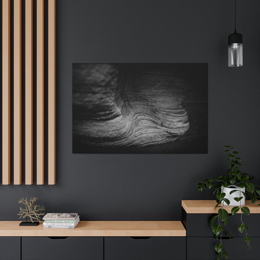 Sedimentary Rock Curves in Black and White - Canvas