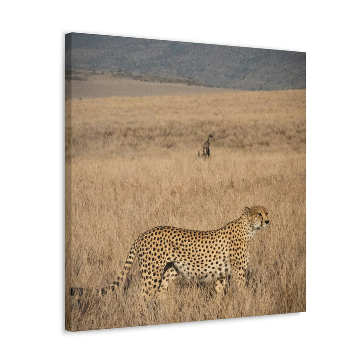 Regal Camouflage - Canvas