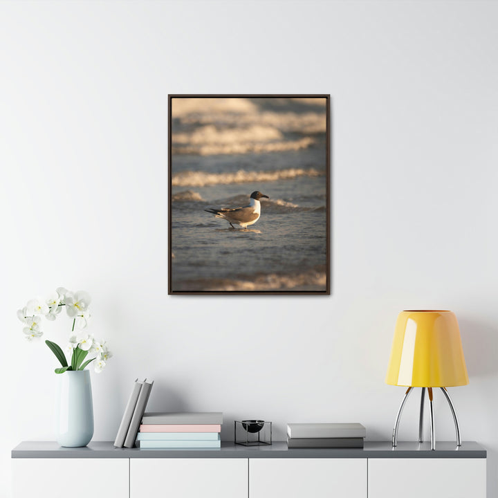 Laughing Gull in the Surf - Canvas with Frame