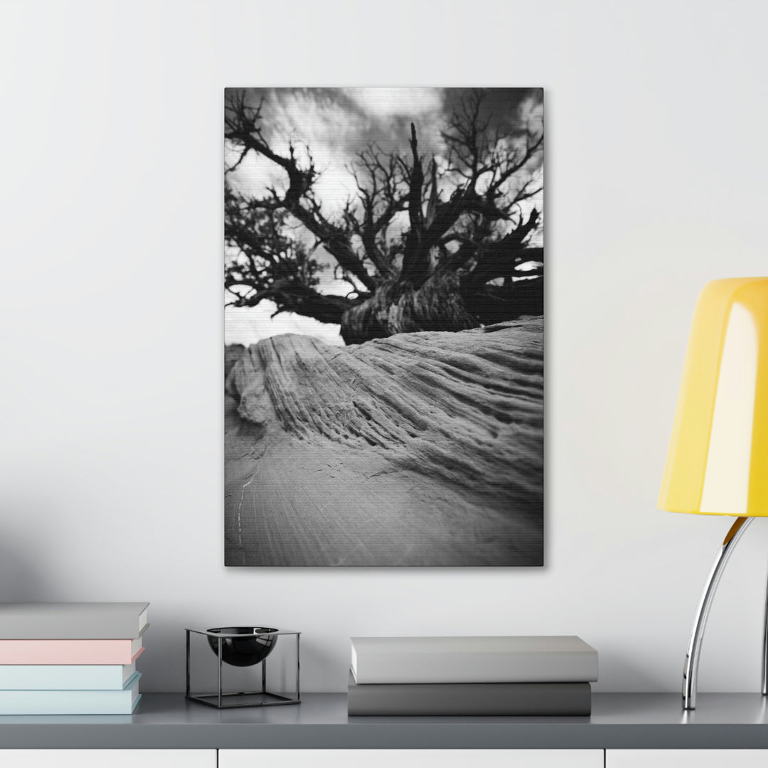 Desert Reach in Black and White - Canvas