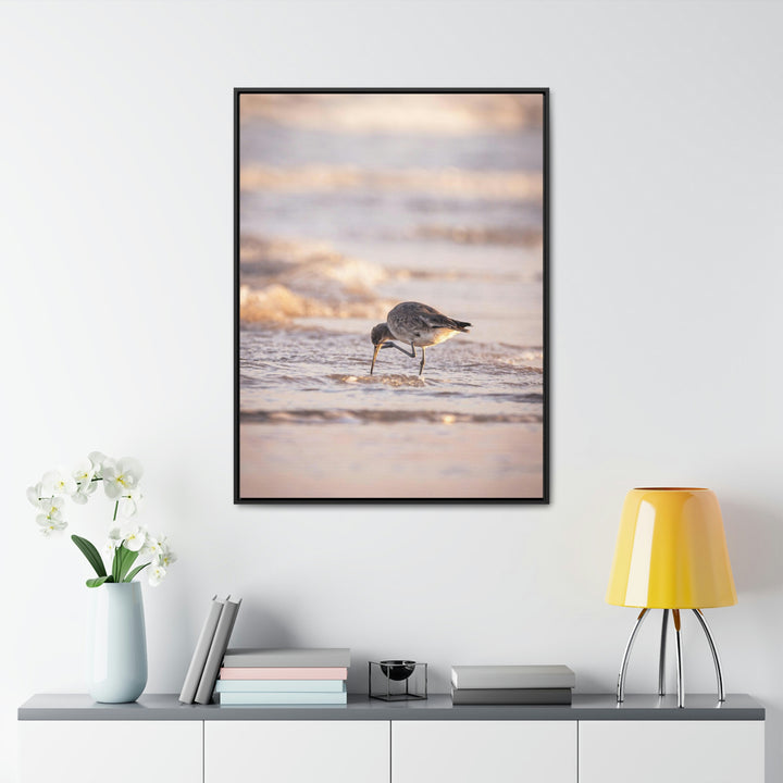 Willet Itch - Canvas with Frame