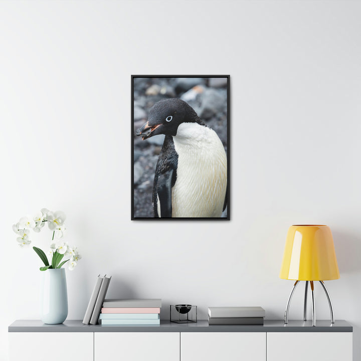 A Penguin's Pebble - Canvas with Frame