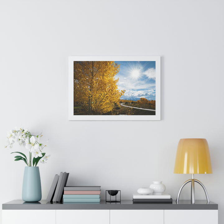 Golden Sunshine - Framed Print