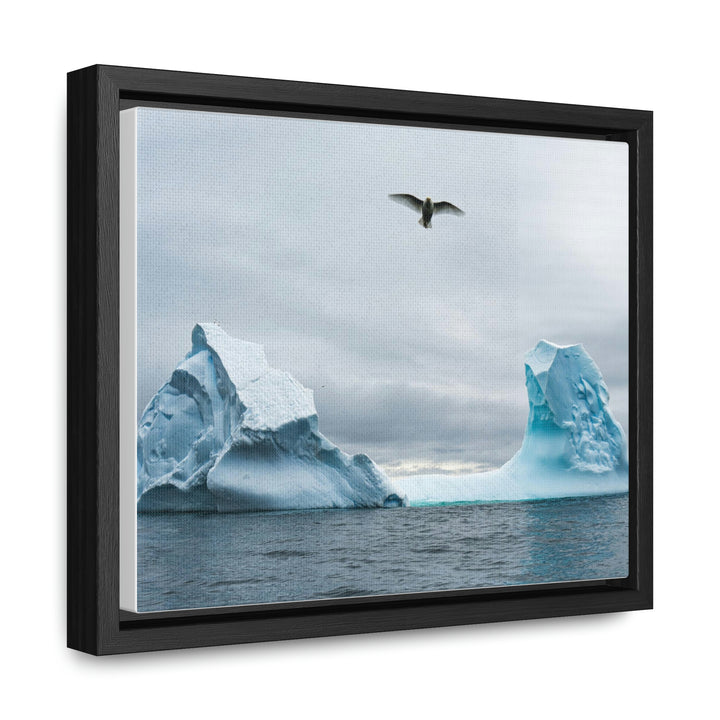 Antarctic Flight - Canvas with Frame