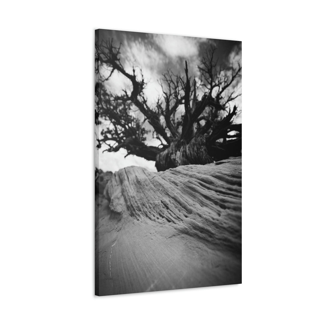 Desert Reach in Black and White - Canvas