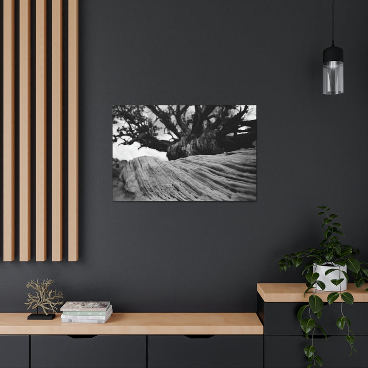 Desert Reach in Black and White - Canvas