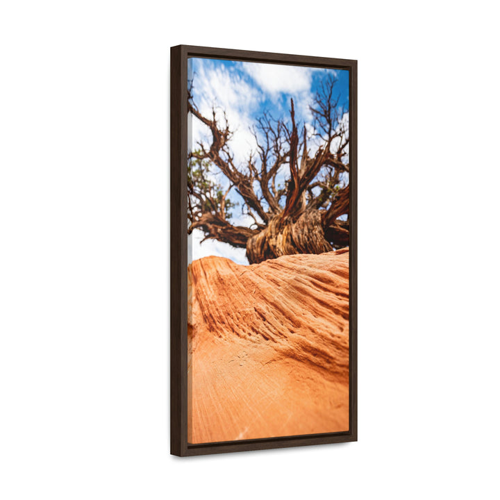 Desert Reach - Canvas with Frame