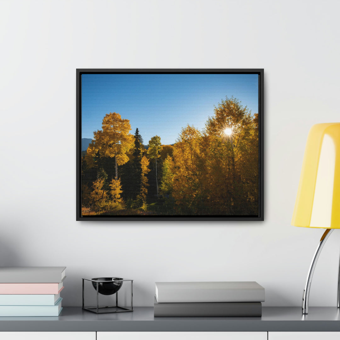 Sun Through the Aspens - Canvas with Frame