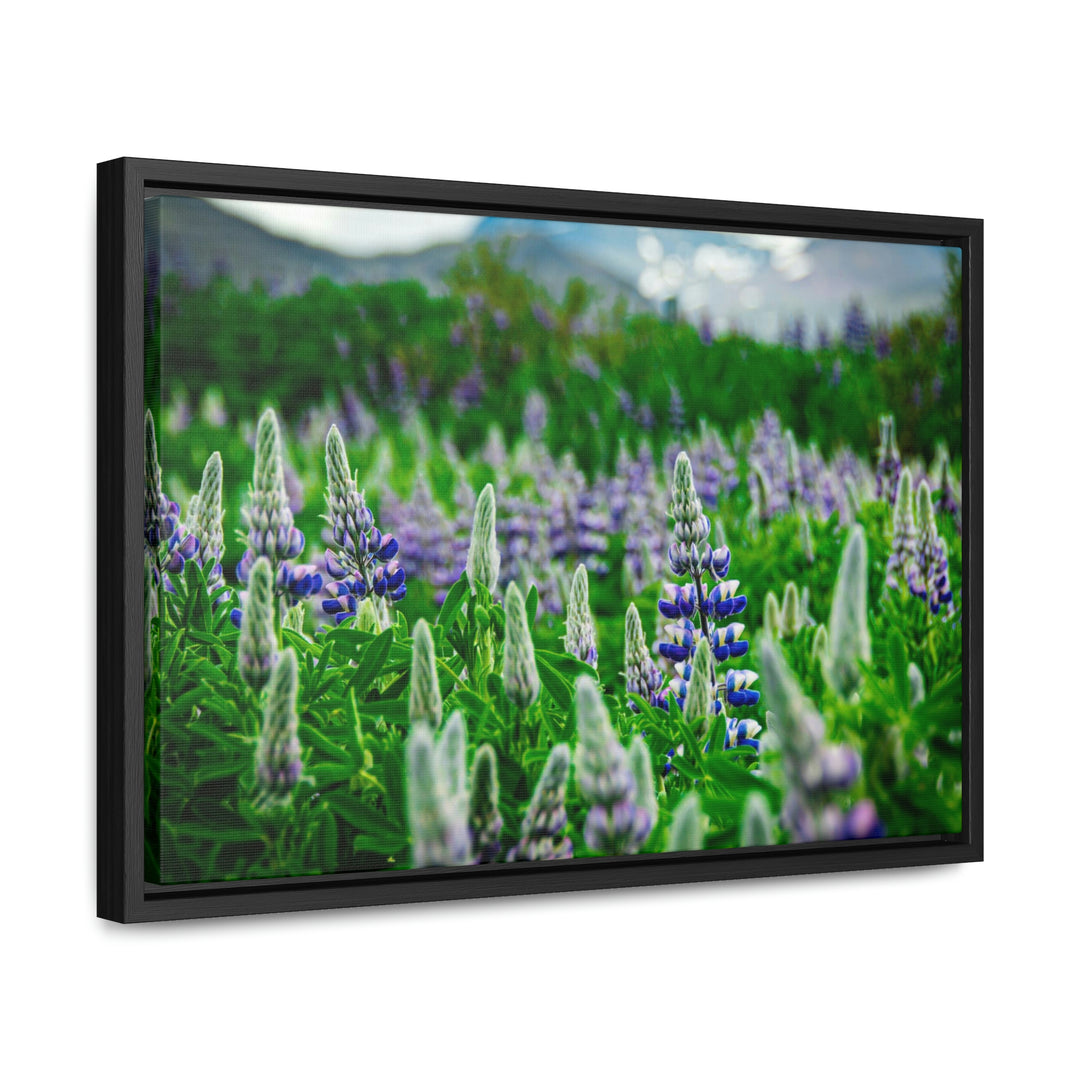 Glowing Lupin with Mountains - Canvas with Frame