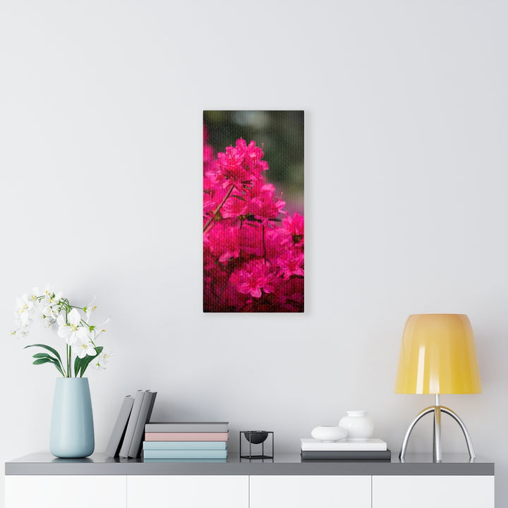 Full Bloom - Canvas