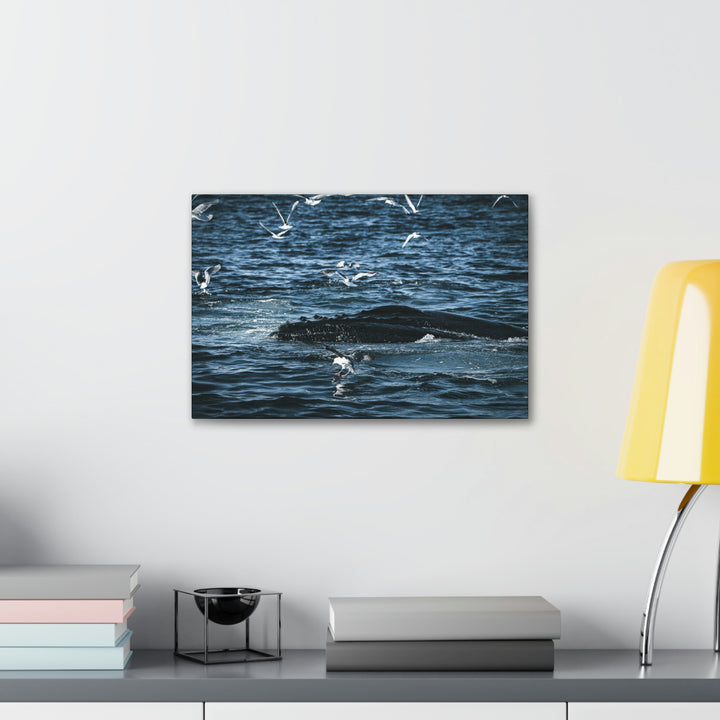 Humpback Hello - Canvas