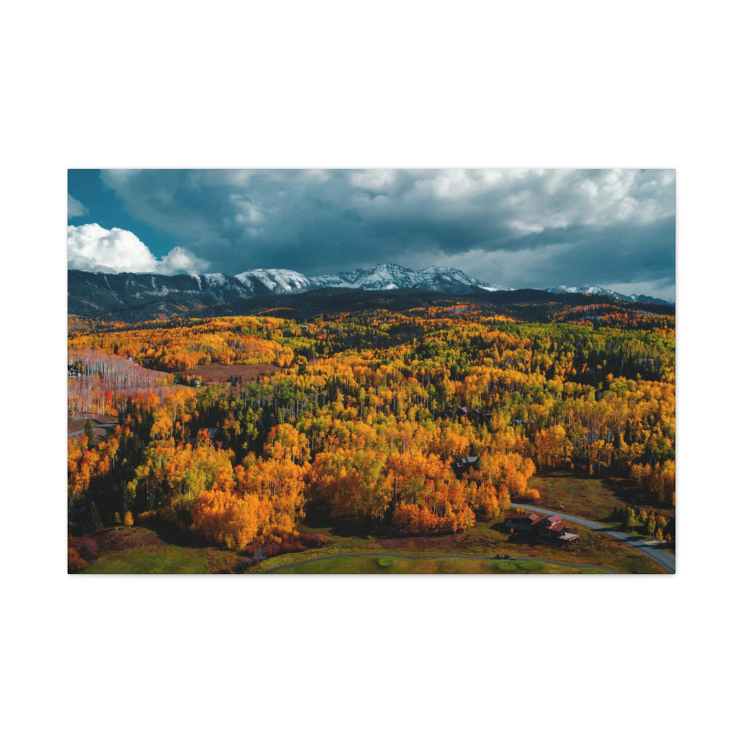 Golds of Autumn - Canvas