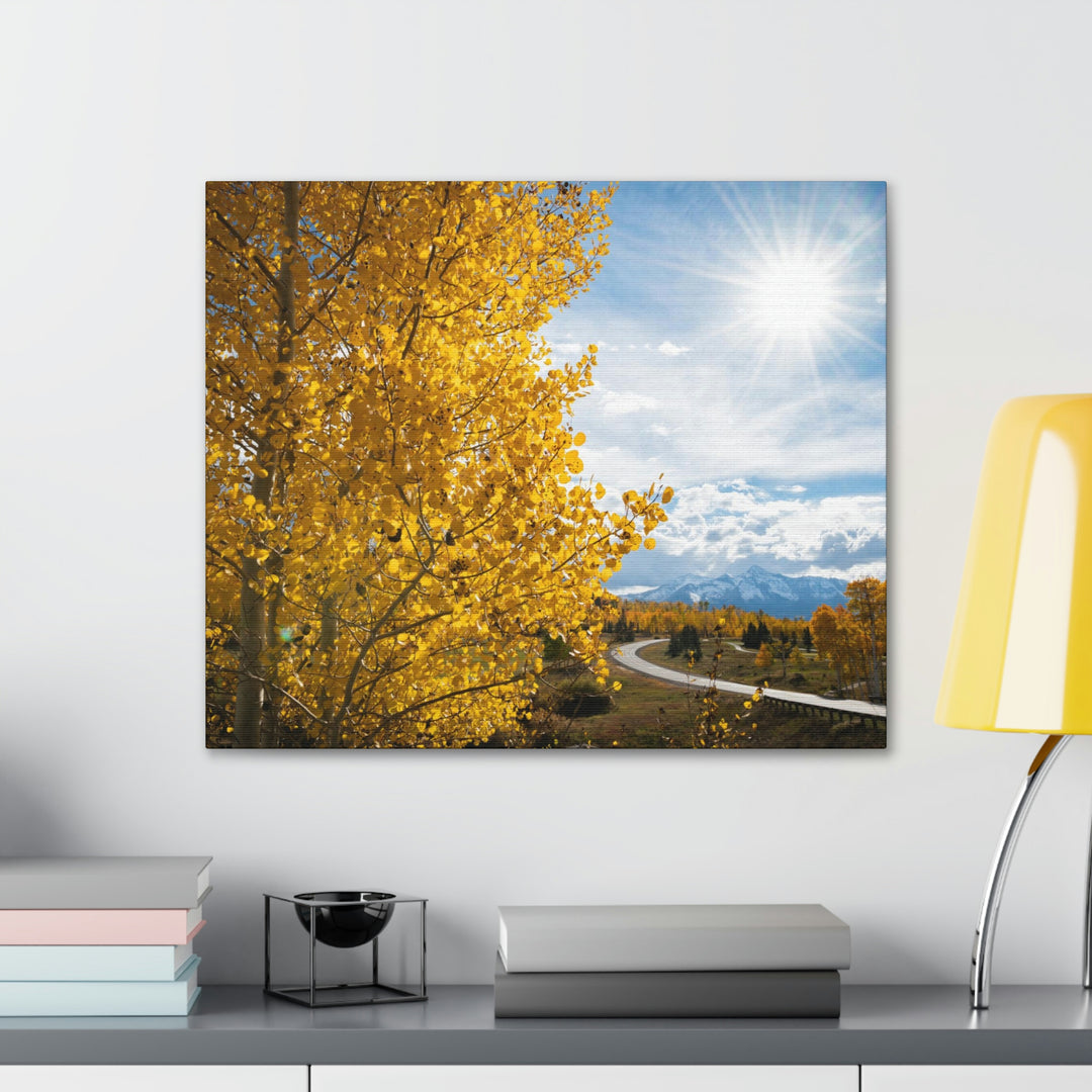 Golden Sunshine - Canvas