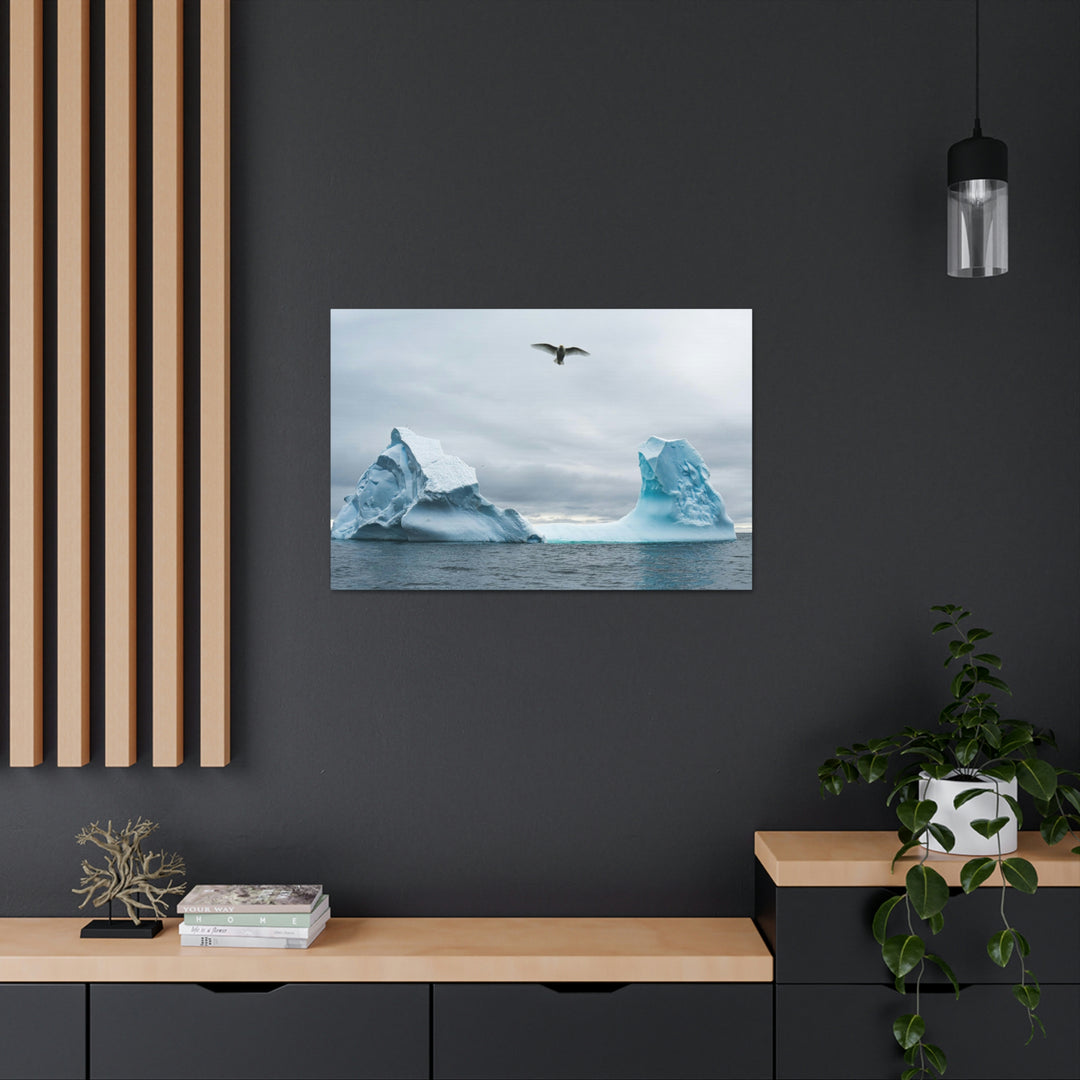 Antarctic Flight - Canvas