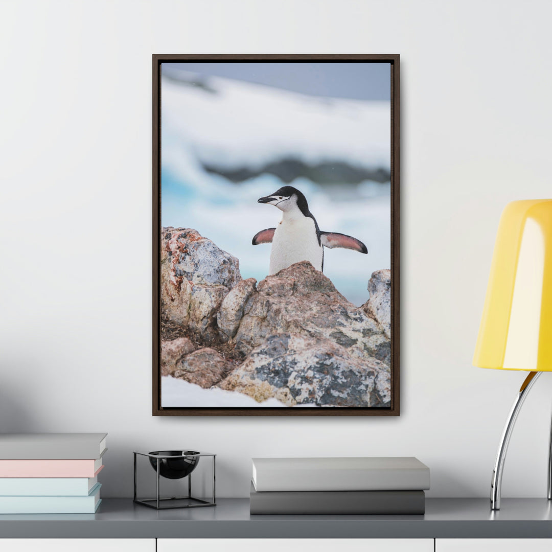 Stretched Penguin - Canvas with Frame