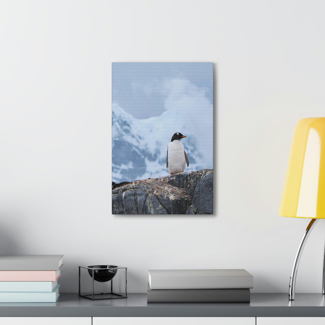 Poised Penguin - Canvas