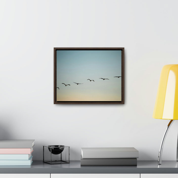 Brown Pelicans in Flight - Canvas with Frame