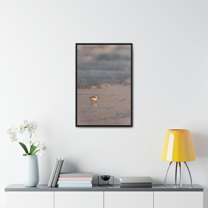 Sanderling in Soft Dusk Light - Canvas with Frame