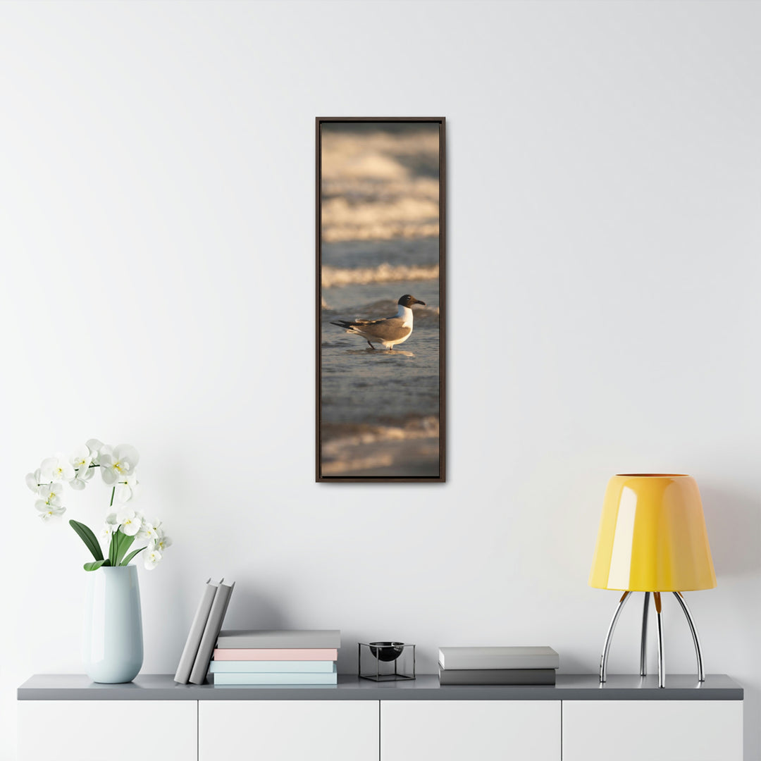 Laughing Gull in the Surf - Canvas with Frame