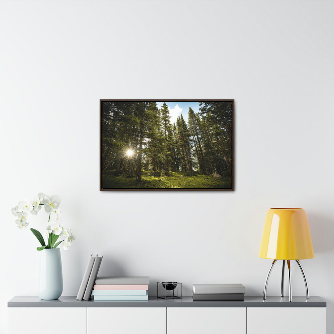 Forest Light - Canvas with Frame