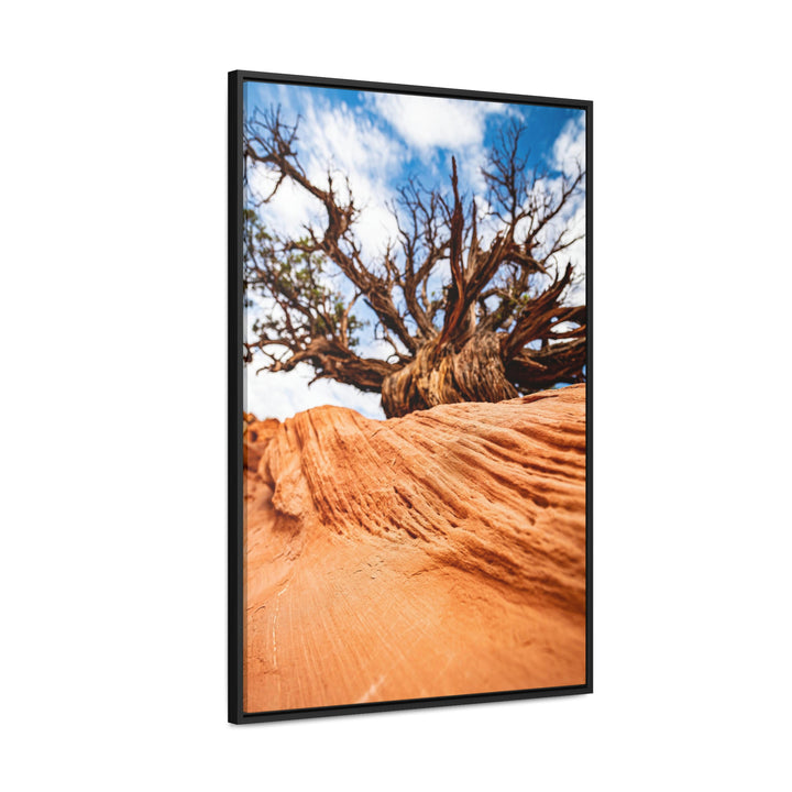 Desert Reach - Canvas with Frame