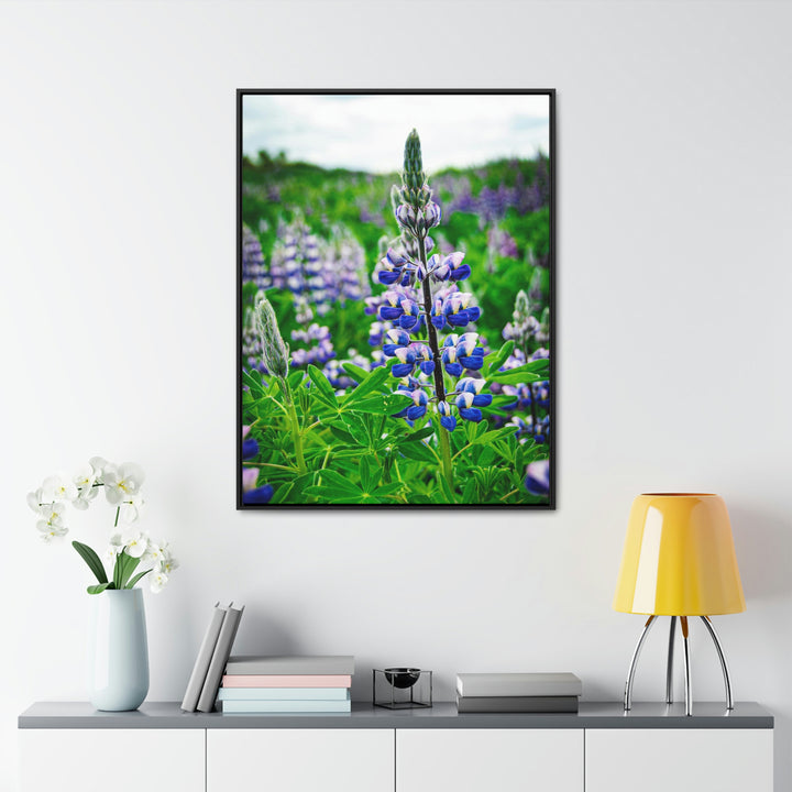 Glowing Lupin - Canvas with Frame