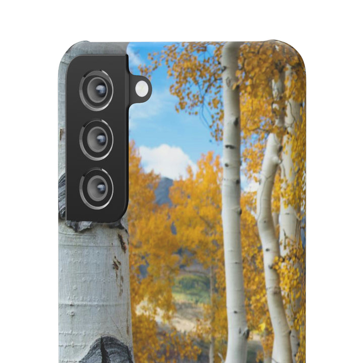 Aspens Changing - Phone Case