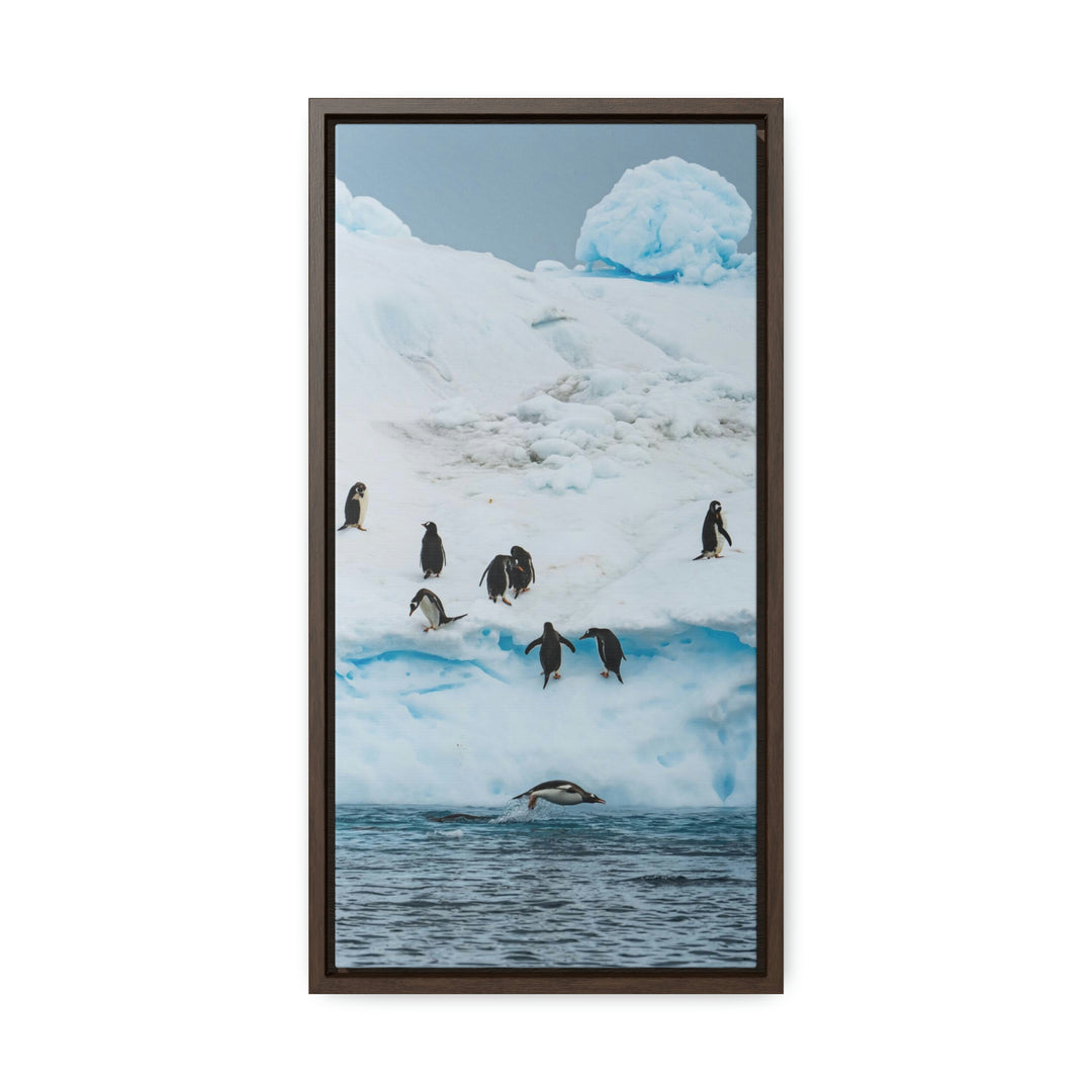 Porpoising Penguin - Canvas with Frame