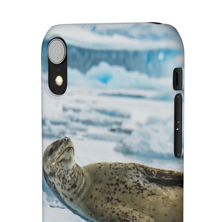 Leopard Seal Relaxing - Phone Case