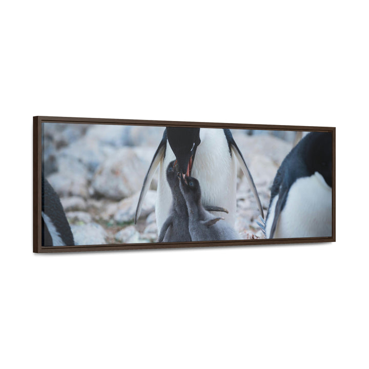 Feeding Time - Canvas with Frame