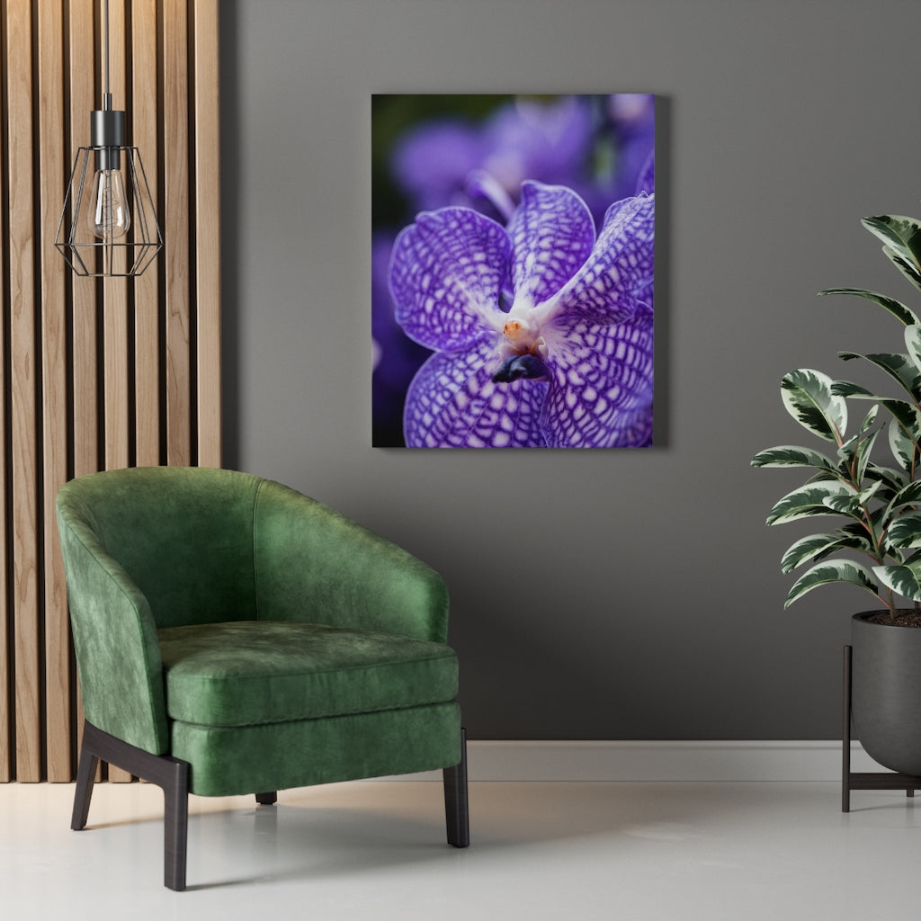 Orchid Detail - Canvas