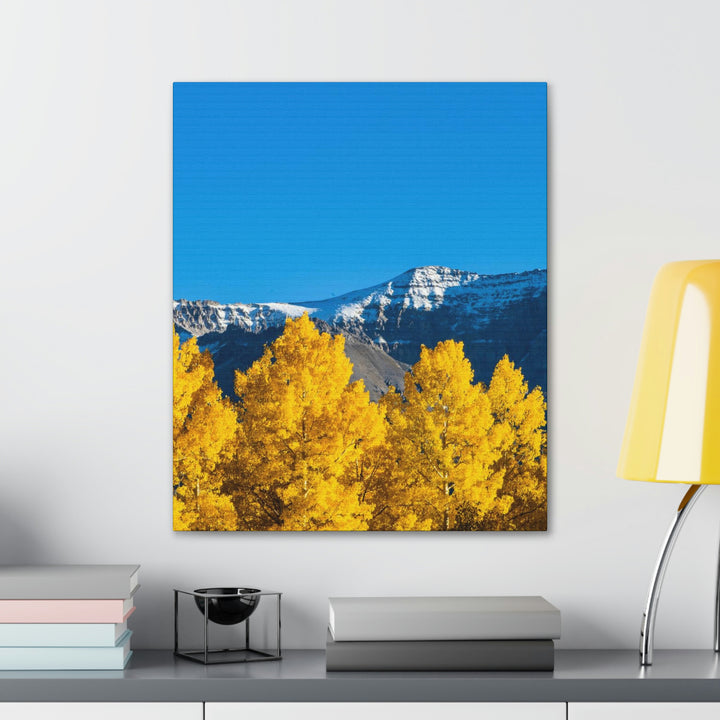 Golden Glow - Canvas