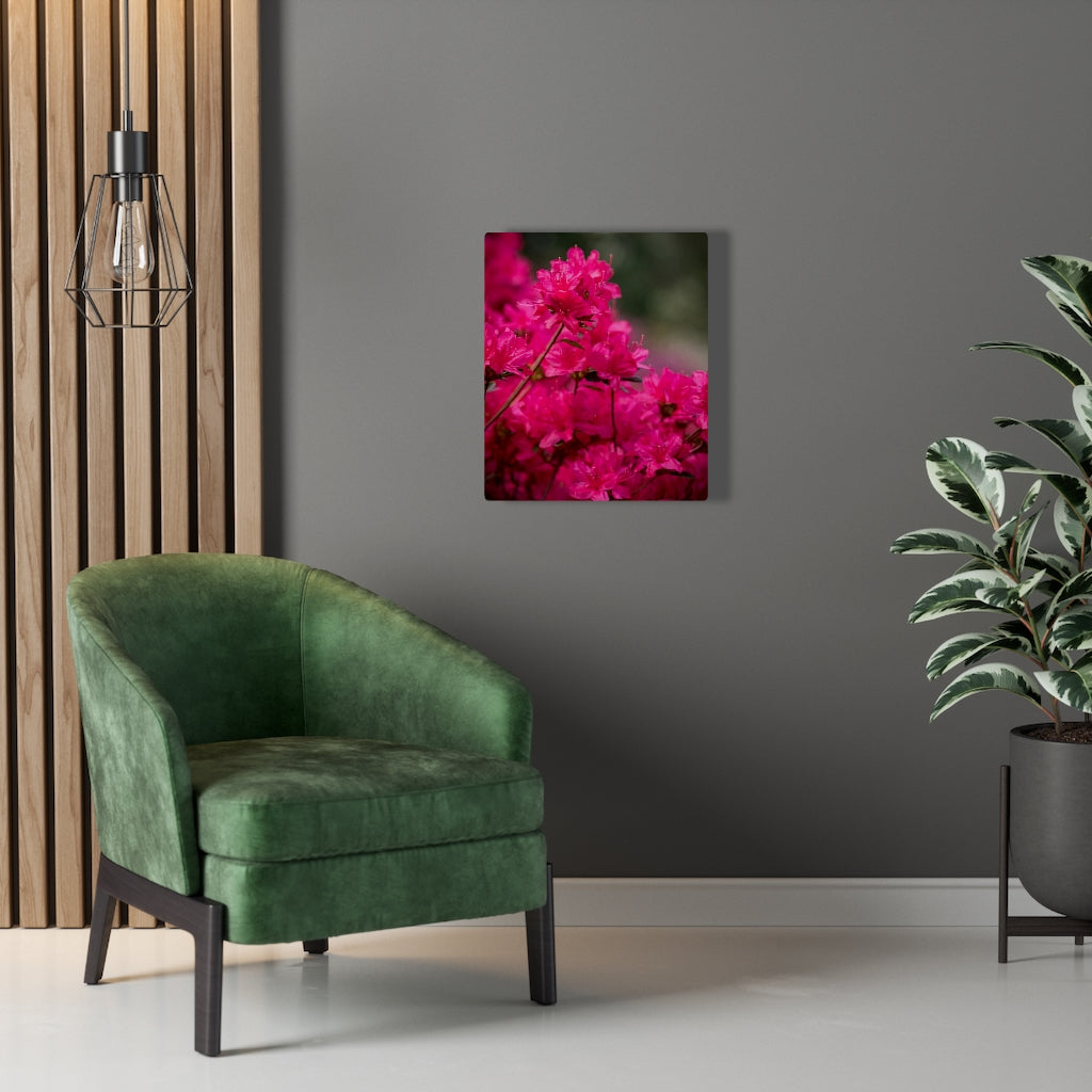 Full Bloom - Canvas