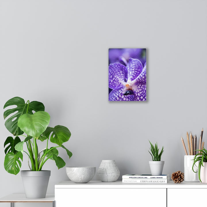 Orchid Detail - Canvas