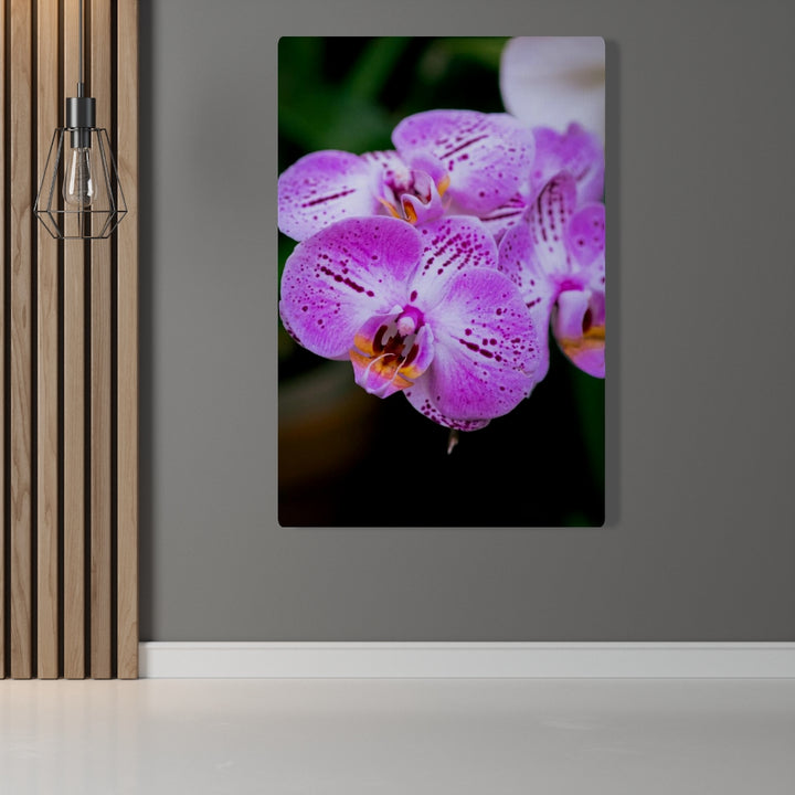 Orchid in Pink - Canvas