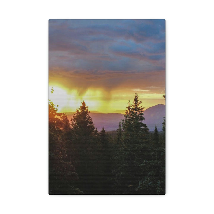 Rainy Sunset Through the Trees - Canvas