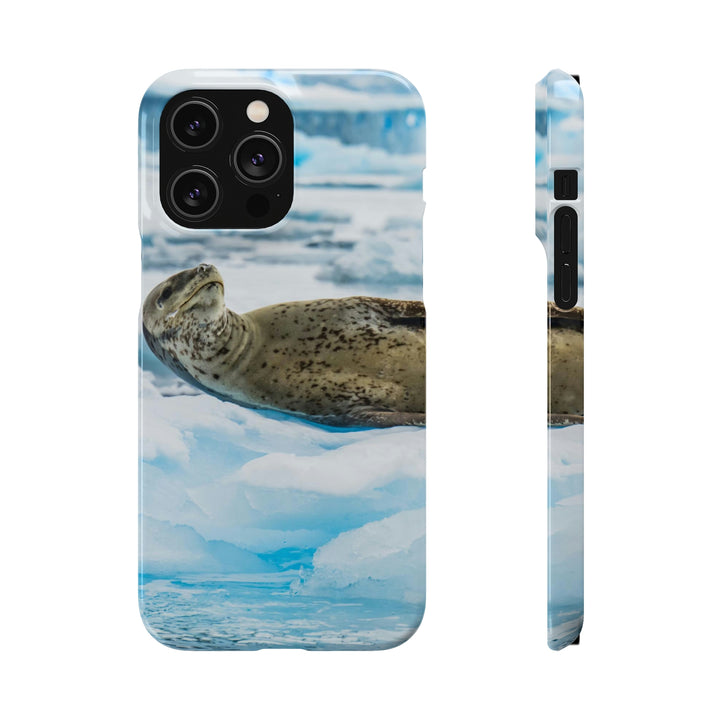 Leopard Seal Relaxing - Phone Case