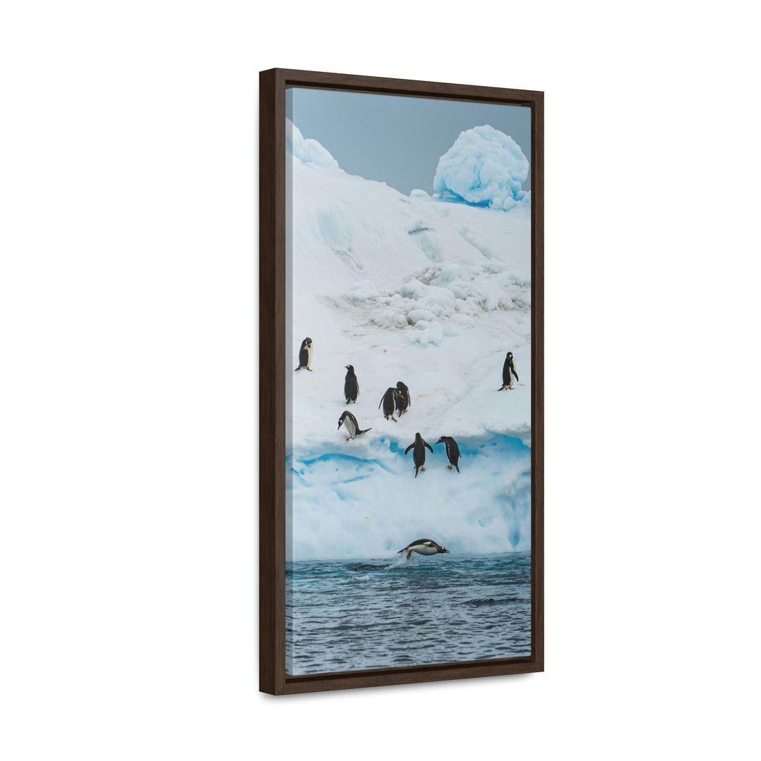 Porpoising Penguin - Canvas with Frame