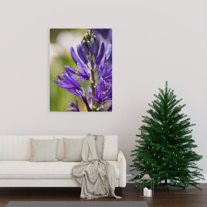 Camas in Bloom - Canvas