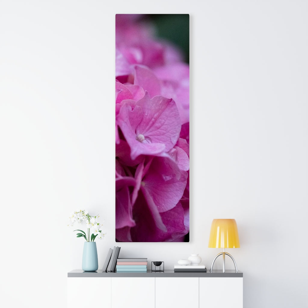 Pink Hydrangea Detail - Canvas