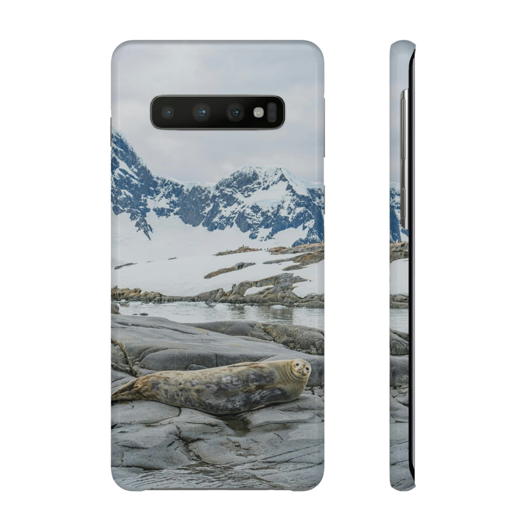 Weddell Relaxing - Phone Case