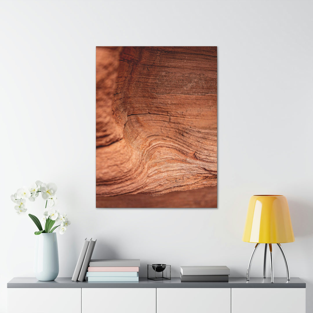 Sedimentary Rock Curves - Canvas