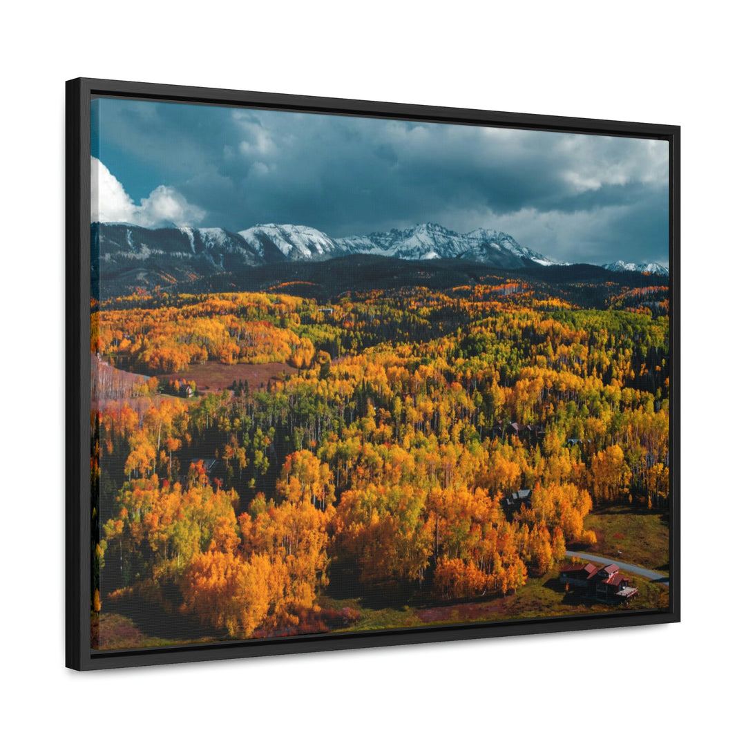 Golds of Autumn - Canvas with Frame