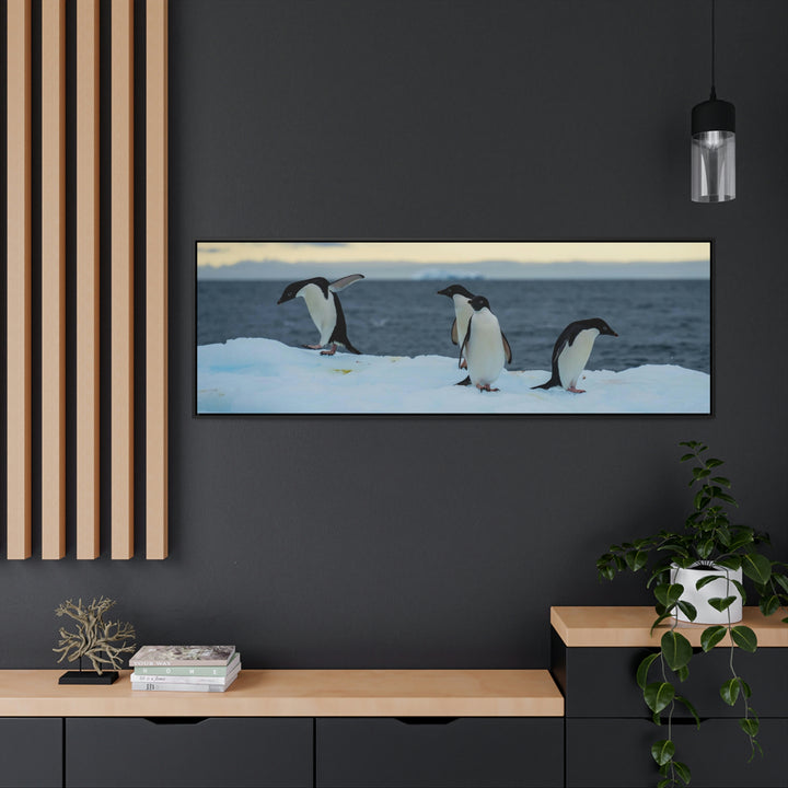 Penguin Dance - Canvas with Frame