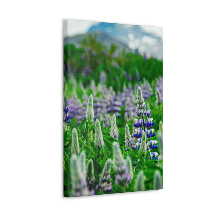 Glowing Lupin with Mountains - Canvas