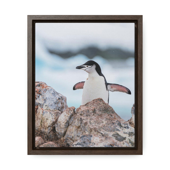 Stretched Penguin - Canvas with Frame