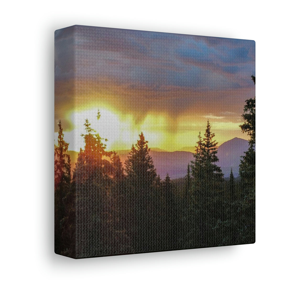 Rainy Sunset Through the Trees - Canvas